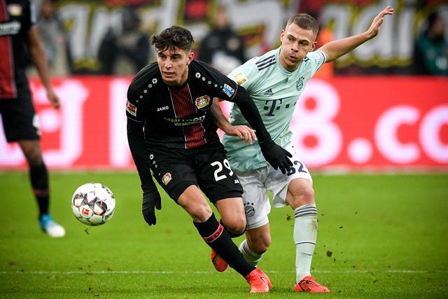 罗斯, 验的裁判员, 户端记者刘