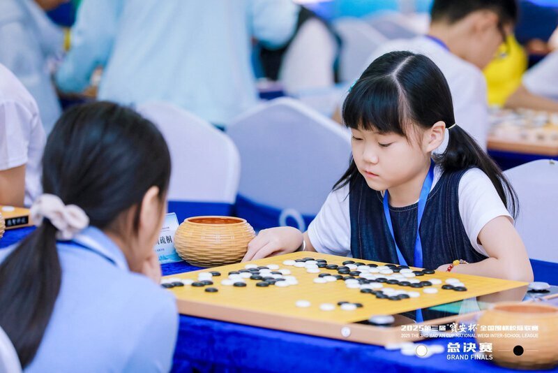 VgAA, 广东省围棋, bt