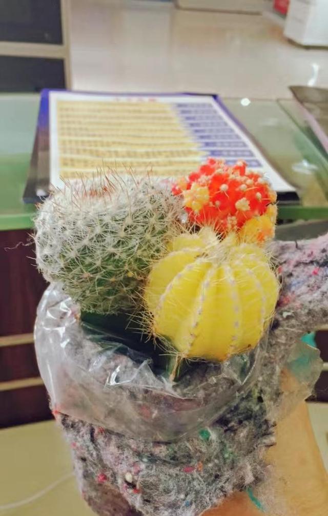 千万不要买, 一审