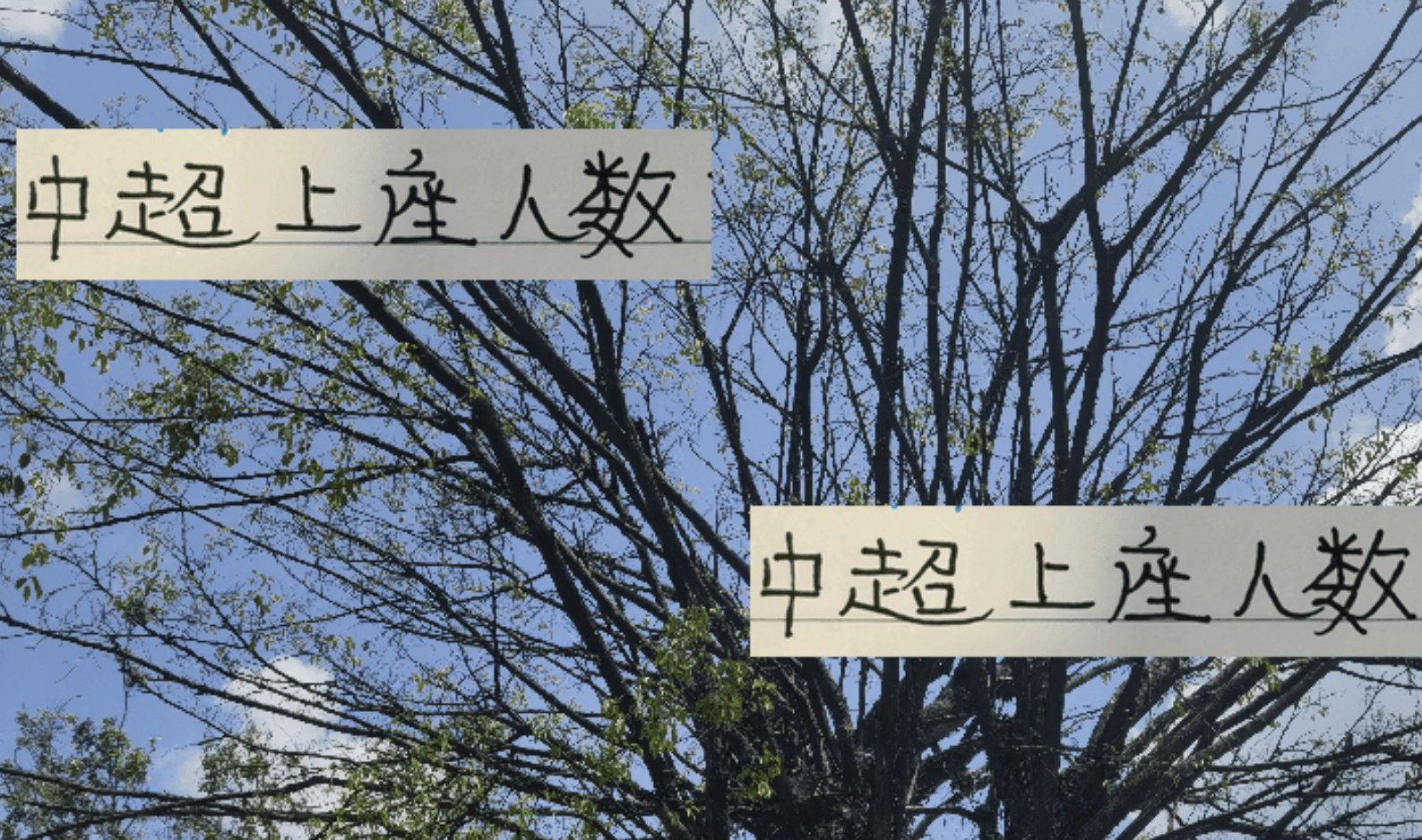 笔者认为本, 数TOP